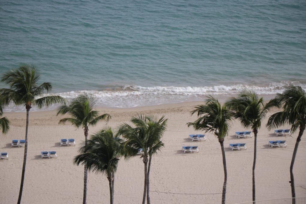 Isla Verde, Puerto Rico.
Beach sand and palm trees image