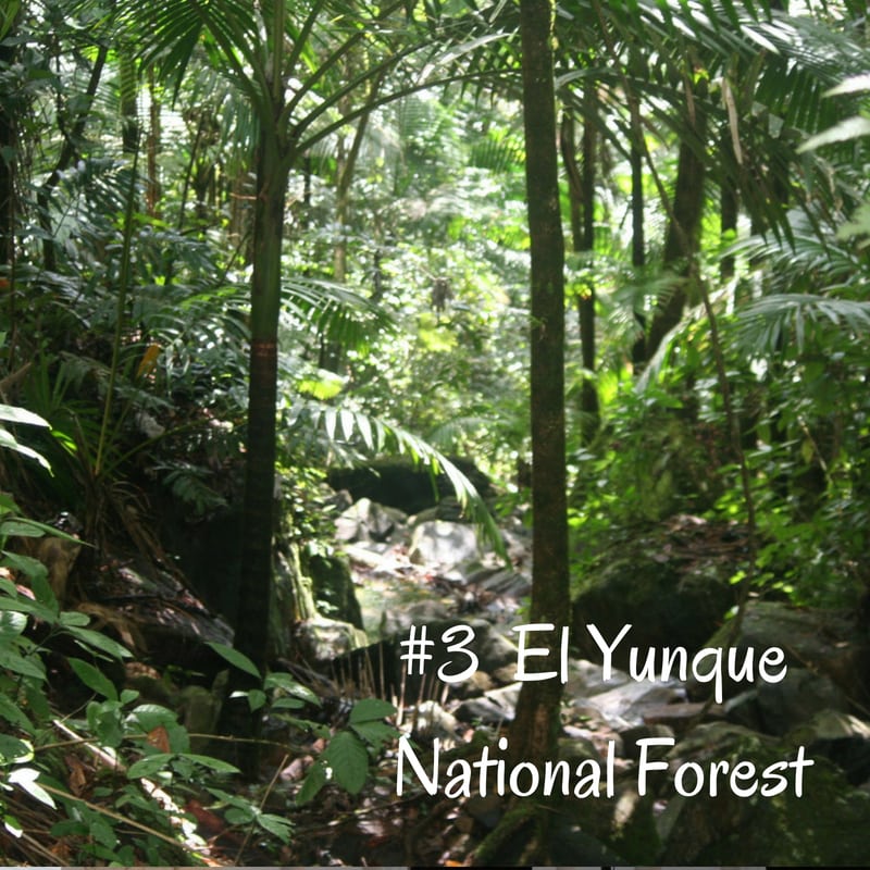 El Yunque