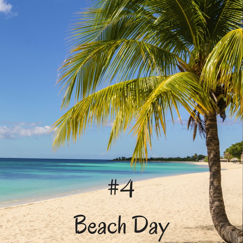 Things to Do In Puerto Rico.  
Beach scene with palm tree and ocean