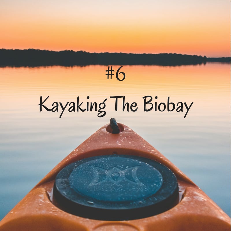 kayak in the bay