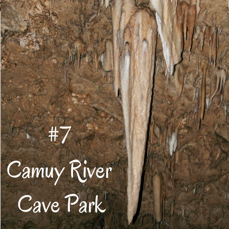 Stalactite in Camuy Cave