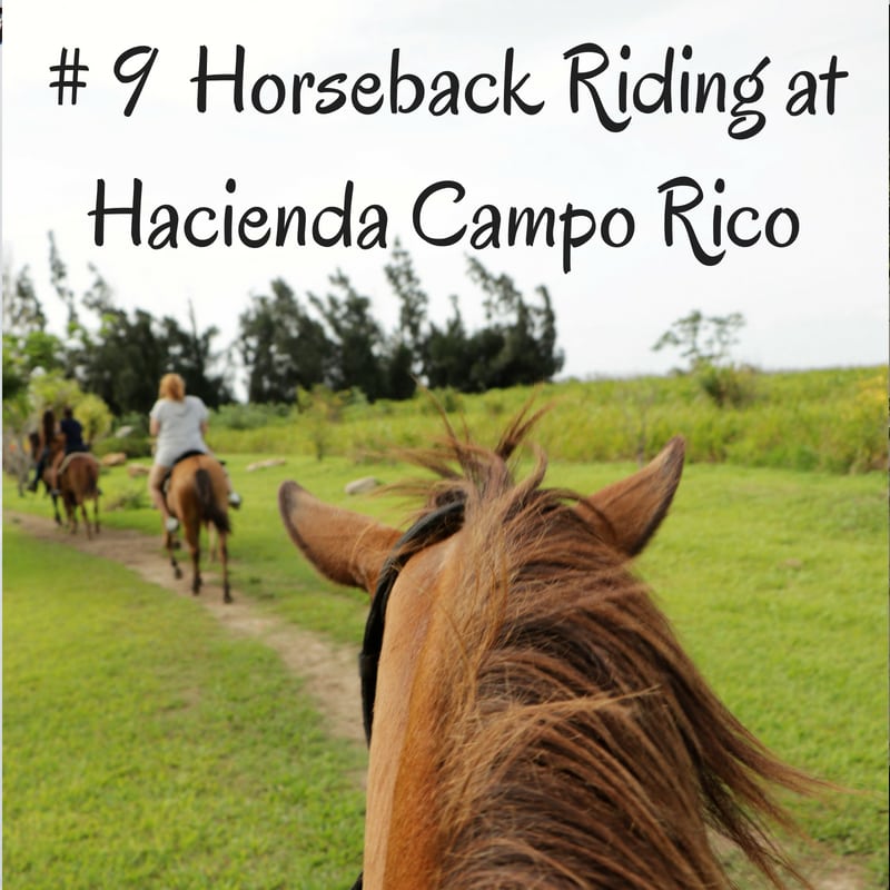 Things to Do In Puerto Rico.  Horseback riding