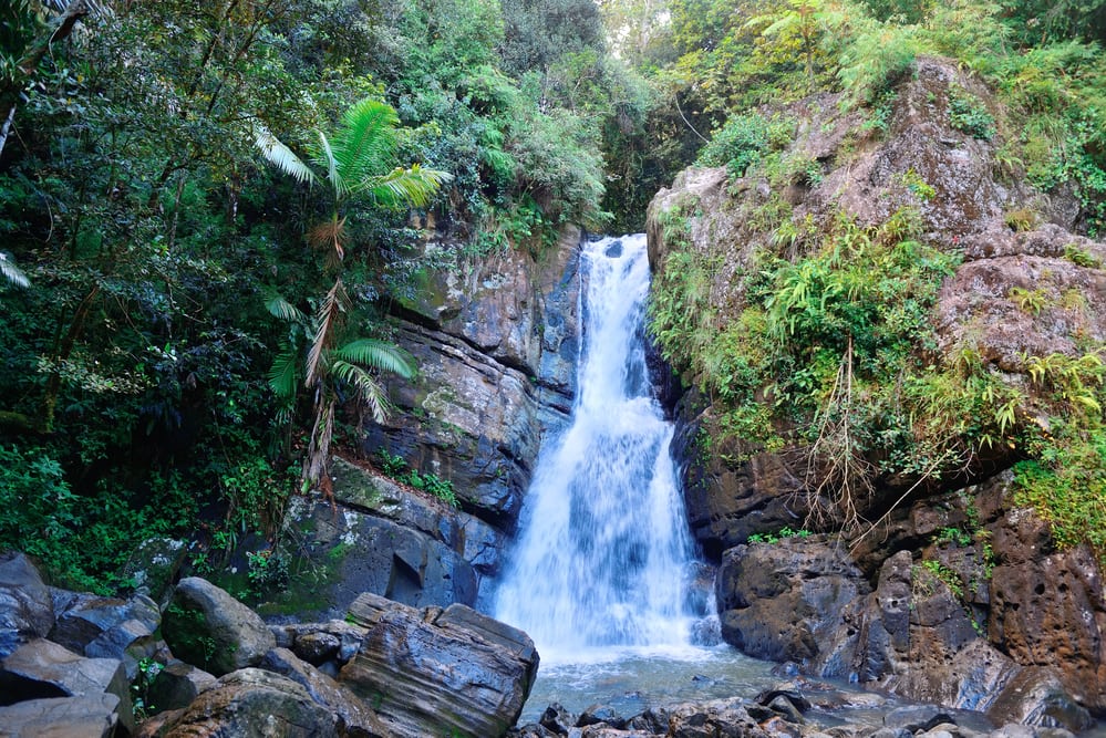 Things to Do In Puerto Rico.
Waterfall in tropical rain forest in San Juan, Puerto Rico.