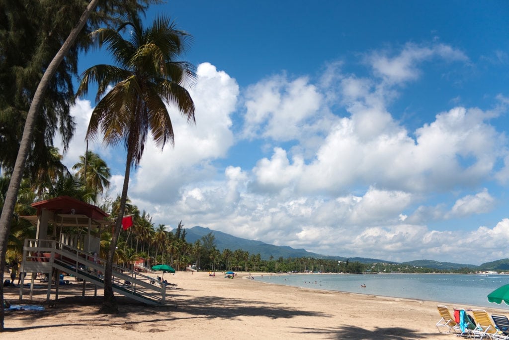 Things to Do In Puerto Rico.  
The beautiful coconut palm lined Luquillo Beach located on the large island of Puerto Rico.