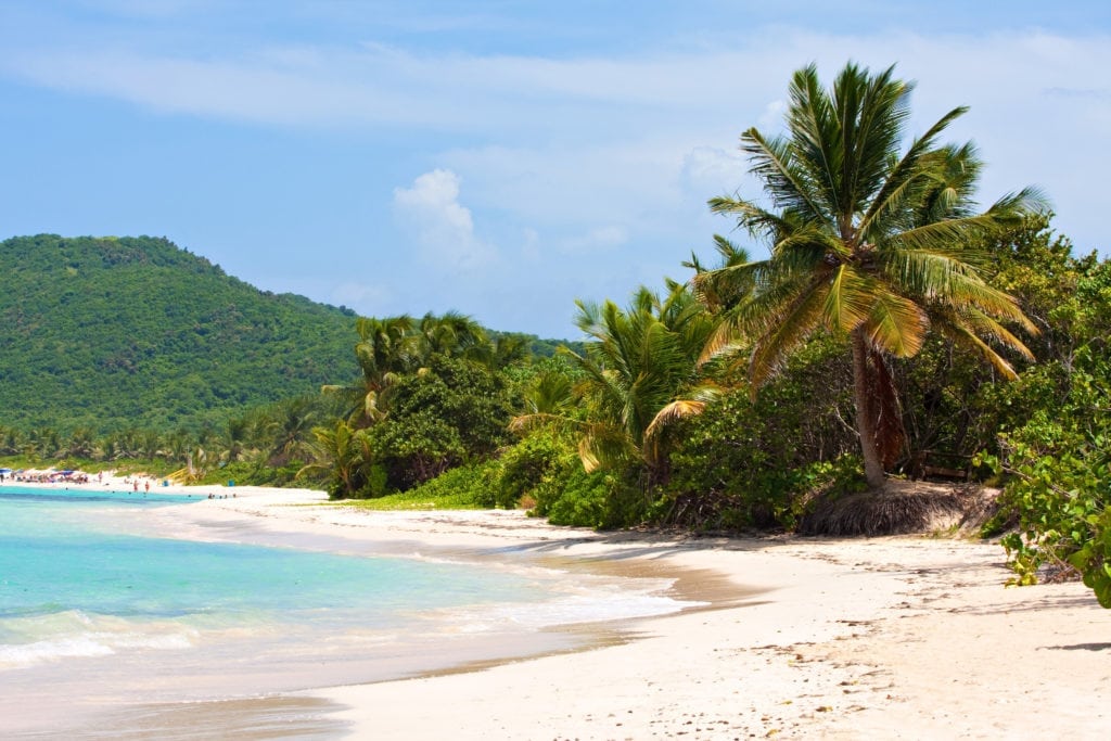 Things to Do In Puerto Rico.  
Gorgeous coconut palm trees overlooking Flamenco beach on the Puerto Rican island of Culebra.