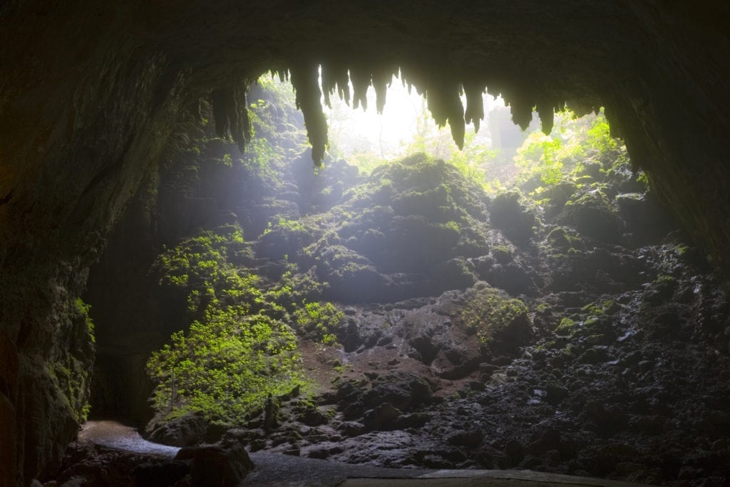 Things to Do In Puerto Rico.  CAMUY, PUERTO RICO - FEBRUARY 2: Entrance to the Rio Camuy Cave Park or Parque de las Cavernas del Rio Camuy Puerto Rico. Taken February 2, 2011 in Puerto Rico.