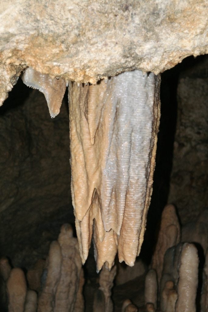 Things to Do In Puerto Rico.  stalactite in camuy cave