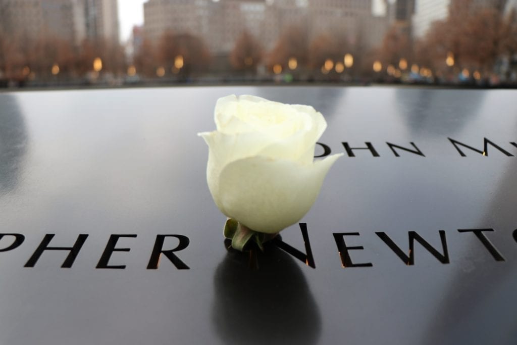 911 Memorial Birthday Rose
New York Christmas Vacation